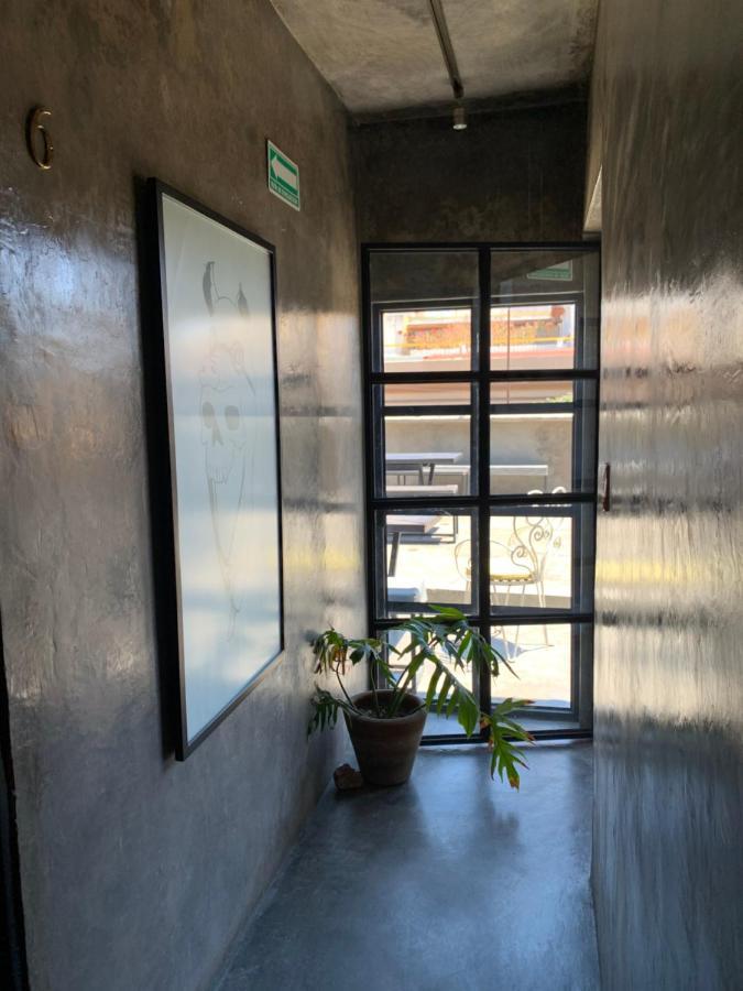 Caja Oaxaca Hotel Kültér fotó